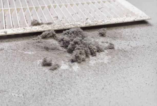 Best Air Vent Cleaning Services  in Dover Beaches North, NJ