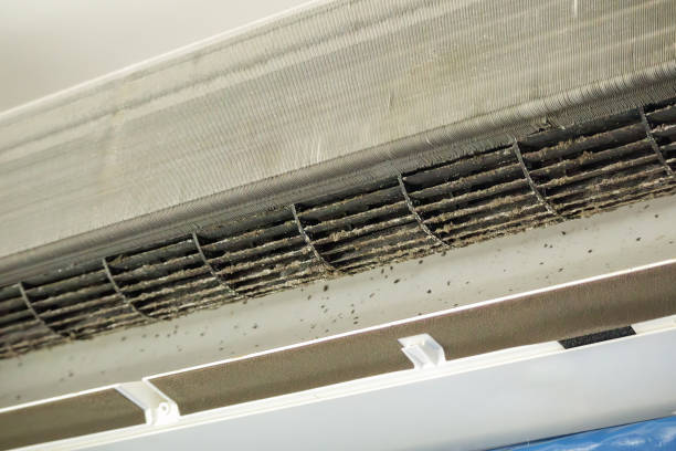 Best Ventilation Cleaning Services  in Dover Beaches North, NJ